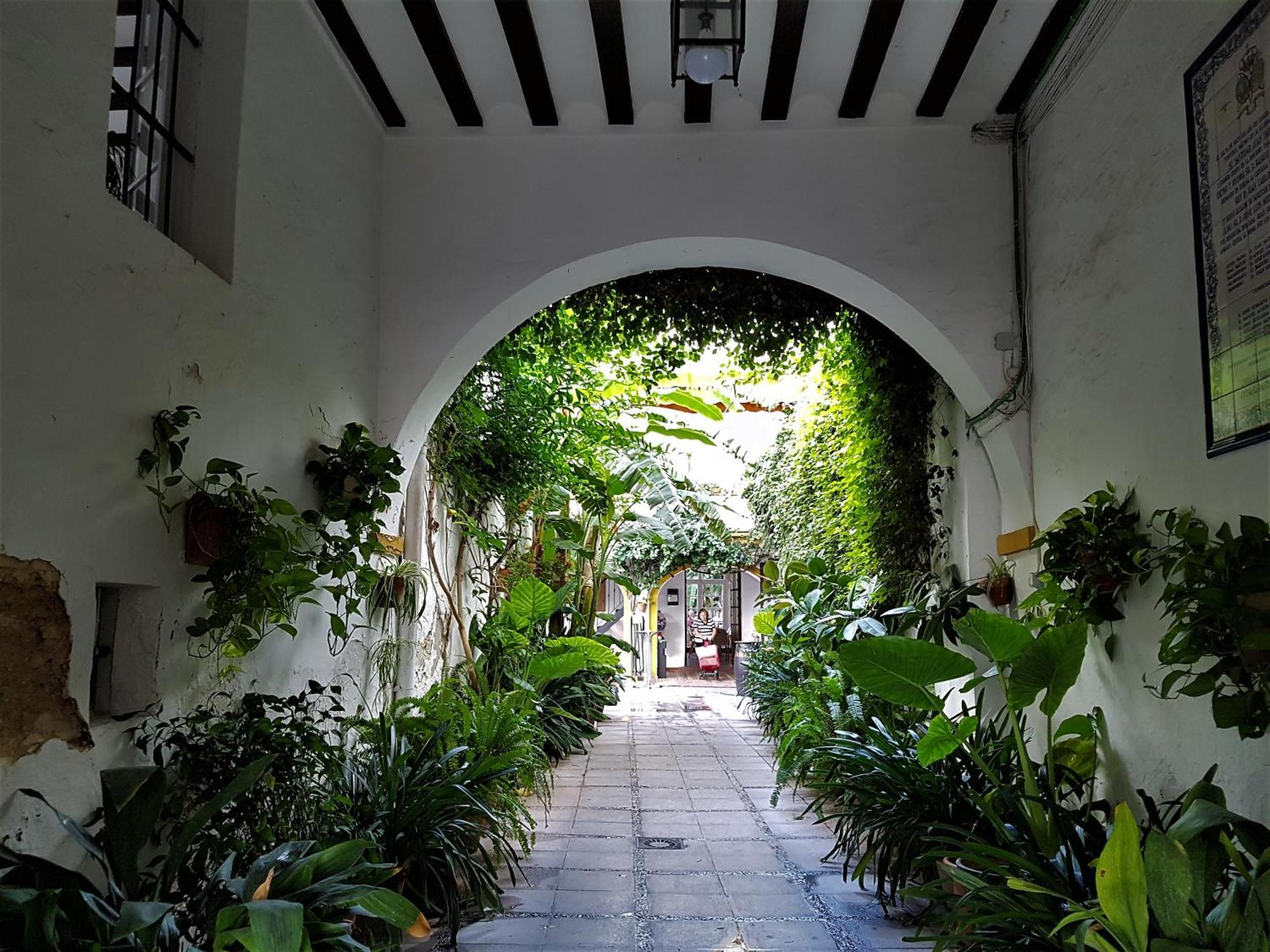Albariza Hotel Boutique サンルーカル・デ・バラメダ エクステリア 写真