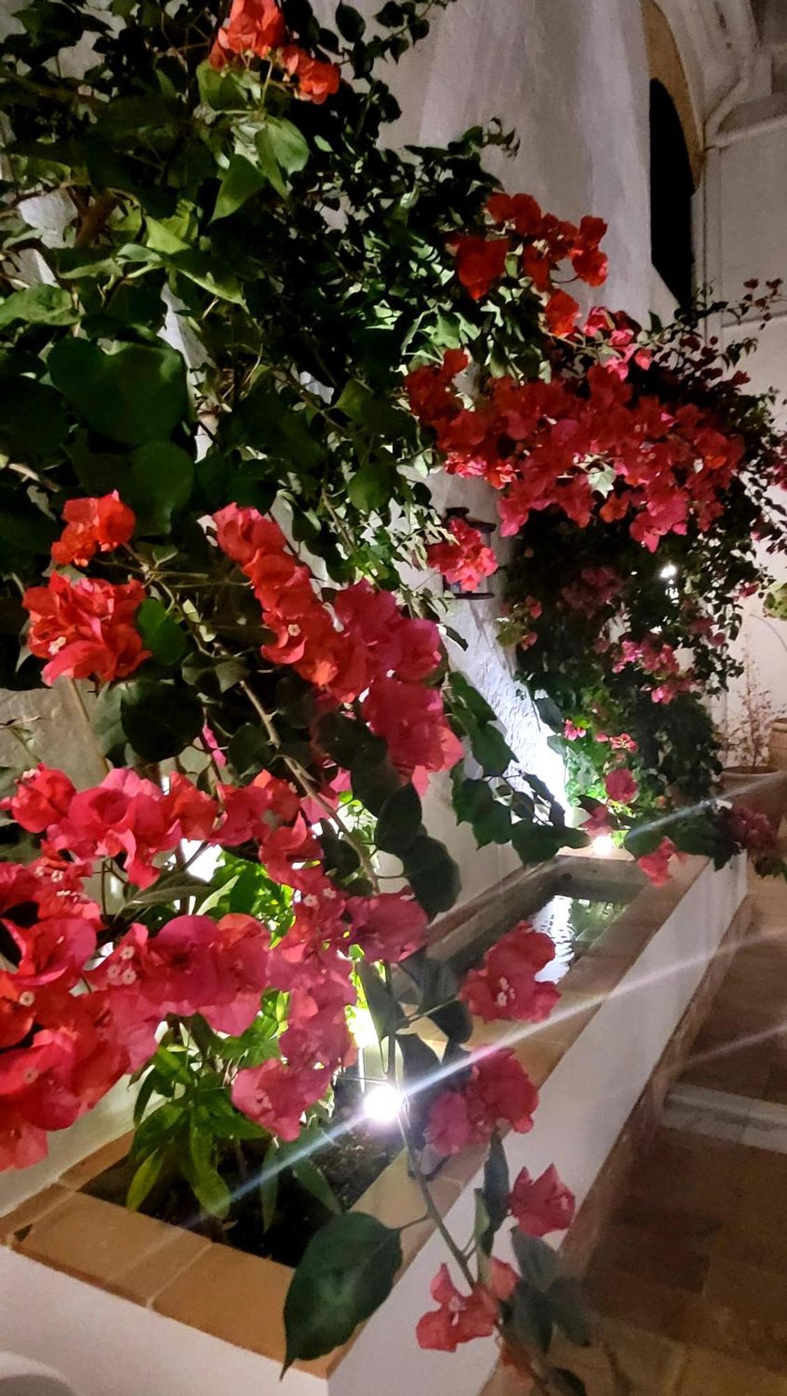 Albariza Hotel Boutique サンルーカル・デ・バラメダ エクステリア 写真